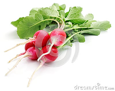 Bunch fresh radish isolated Stock Photo