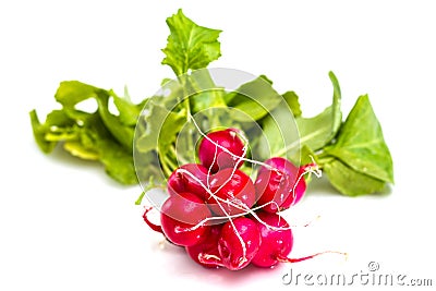 Bunch of fresh red radishes with green tops Stock Photo