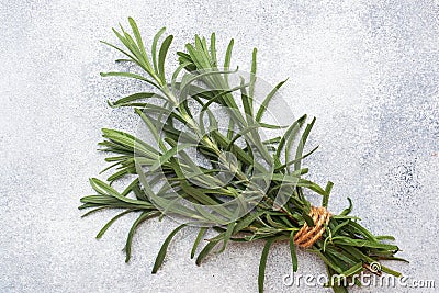 Bunch of fresh rosemary sprigs on a grey concrete background with copy space. Stock Photo