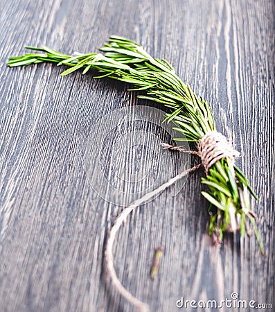 Bunch of fresh rosemary Stock Photo