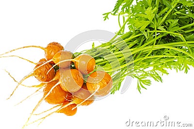 Bunch of fresh round carrots, organic vegetables, vegetarian food Stock Photo