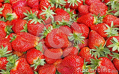 Bunch of fresh strawberries Stock Photo