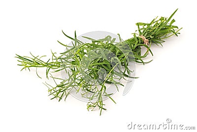 Bunch of fresh tarragon herbs Stock Photo