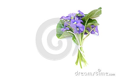 Bunch fresh violet, viola odorata flowers Stock Photo