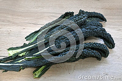 Crisp organic green lacinato kale Stock Photo