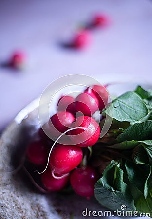A bunch of freshly harvested red baby radishes on a plate Stock Photo