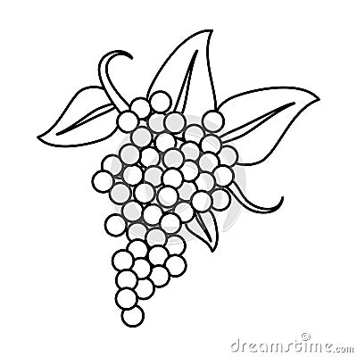 Bunch grape wine thin line Vector Illustration