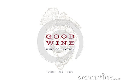 Bunch of grapes on light background. Engraved style. Logo template for wine store, wine card design, restaurant menu or bar. Vector Illustration