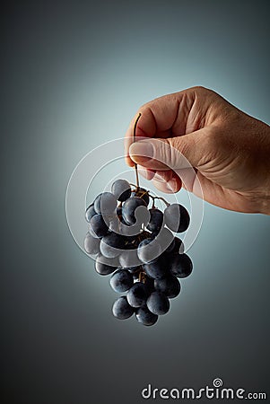 Bunch of grapes Stock Photo