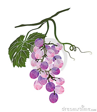Bunch of grapes stylized polygonal Vector Illustration