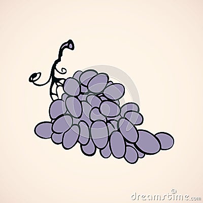 Bunch of grapes. Vector drawing Vector Illustration