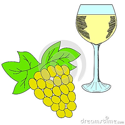 Bunch of grapes and wineglass. White wine Vector Illustration