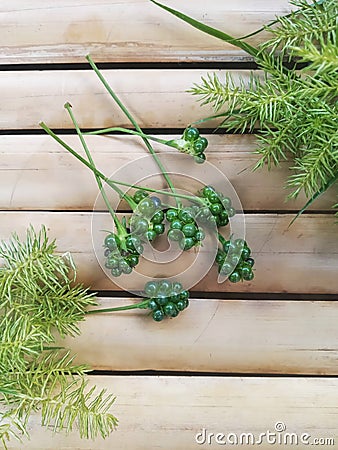 Bunch of Green Coriander Seeds Decorated with Green Grass on Bamboo Surface Stock Photo