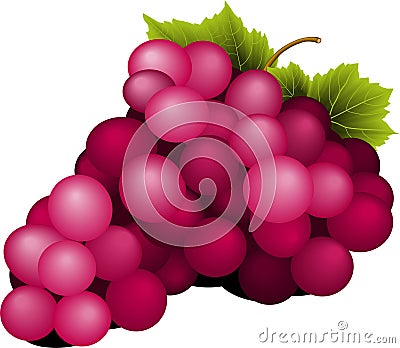 Bunch of green wine grapes with leaves Stock Photo