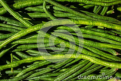 BUNCH GROUP OF GREEN ASPARAGUS SNAKE YARD LONG BEANS Stock Photo