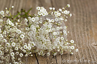 Bunch Of Gypsophila (Baby's-breath) Stock Images - Image: 19442954