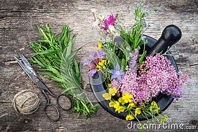 Bunch of healing herbs, mortar and pestle, vintage scissors. Stock Photo