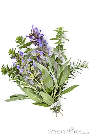 Bunch of Herbs Bouquet Garni Isolated on White Stock Photo