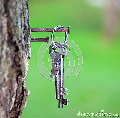 Bunch of keys on a rusty nail Stock Photo