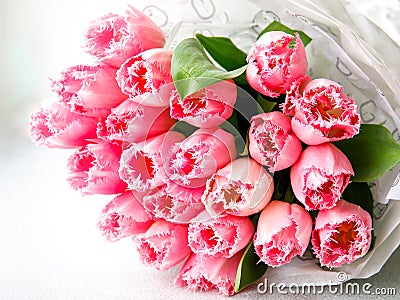 Bunch of light gentle pink Fringed Mascotte tulip, bouquet of spring flowers Stock Photo