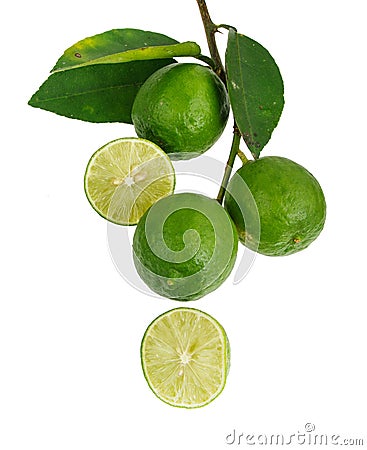 Bunch of limes Stock Photo