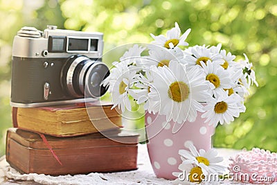 Bunch of marguerite flowers and vintage books and camera in the garden Stock Photo