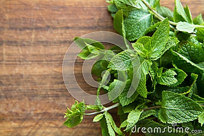 Bunch of mint Stock Photo