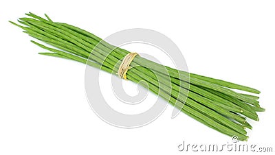 Bunch of Moringa Oleifera Stock Photo