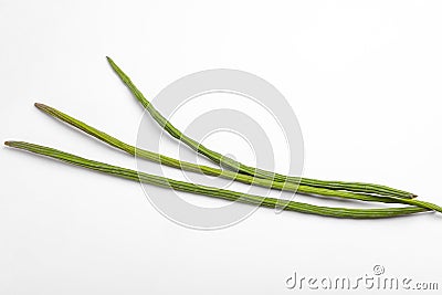 Bunch of Moringa Oleifera or sonjna over white background Stock Photo