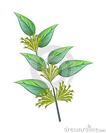 Bunch of Night Blooming Jasmine on White Background Vector Illustration