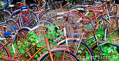 Old Rusty Bicycles Stock Photo