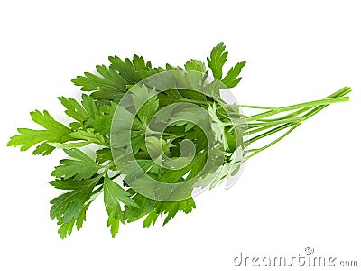 Bunch of parsley Stock Photo