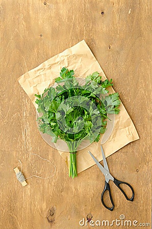 Bunch of parsley and scissors Stock Photo