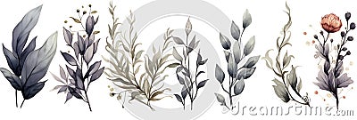 a bunch of plants that are on a white background. Abstract Black foliage background with negative space for copy. Stock Photo