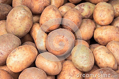 Bunch of potato closeup image. Brown and yellow vegetables picture. Stock Photo