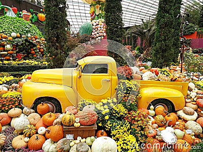 Yellow car with pumpkins by halloween Stock Photo