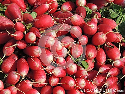 Bunch of radishes Stock Photo