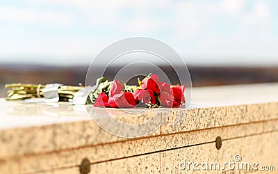 Bunch of red roses taped on stone wall at memorial of mausoleum, perspective view Stock Photo