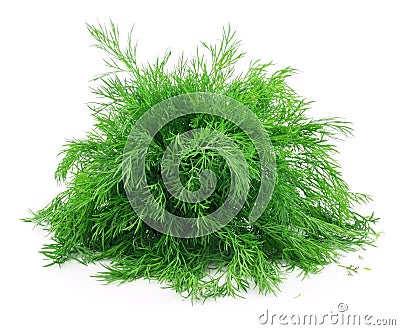 Bunch of Ripe Dill Isolated on White Stock Photo
