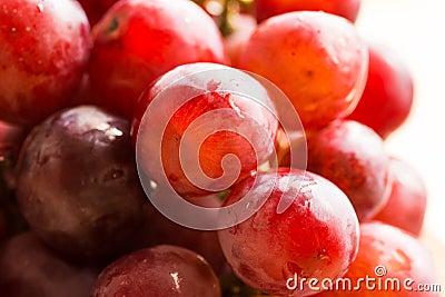 Bunch of ripe fresh juicy red and pink grapes with water drops in sunlight, bright colors, summer fall harvest Stock Photo