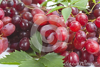 Bunch ripe, fresh red grapes with leaves. Stock Photo