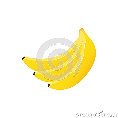Bunch of ripe golden bananas. Three yellow fruits ready to eat and sell Vector Illustration