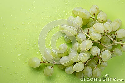 A bunch of ripe grapes with drops of water, berries of white grape on a background of light green color Stock Photo
