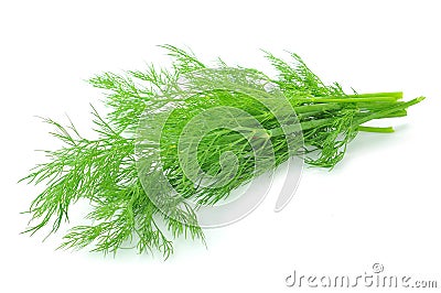 Bunch of ripe green dill Stock Photo