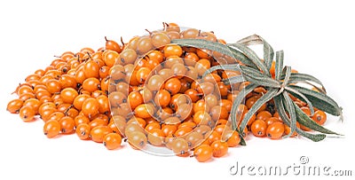 Bunch of sea buckthorn berries isolated on white background Stock Photo