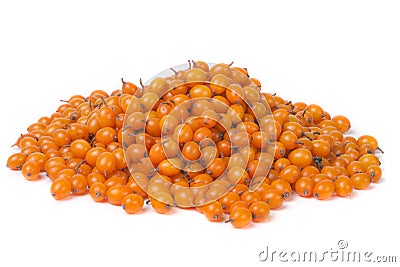 Bunch of sea buckthorn berries isolated on white background Stock Photo