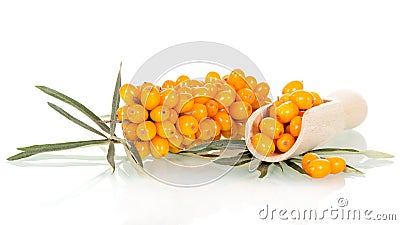 Bunch sea buckthorn berries in wooden scoop isolated on whited. Stock Photo