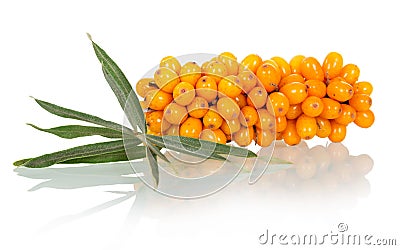 Bunch of sea buckthorn close-up Stock Photo