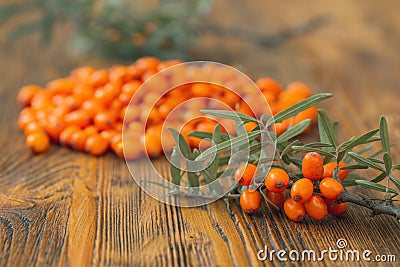 Bunch of sea buckthorn berries on a wooden background in autumn Stock Photo