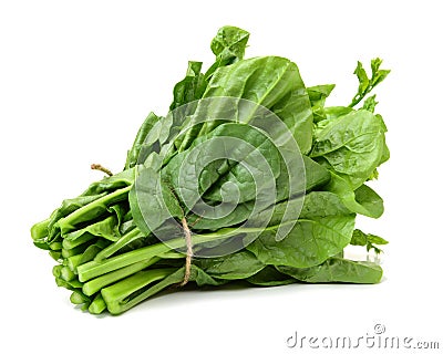 Bunch spinach Stock Photo
